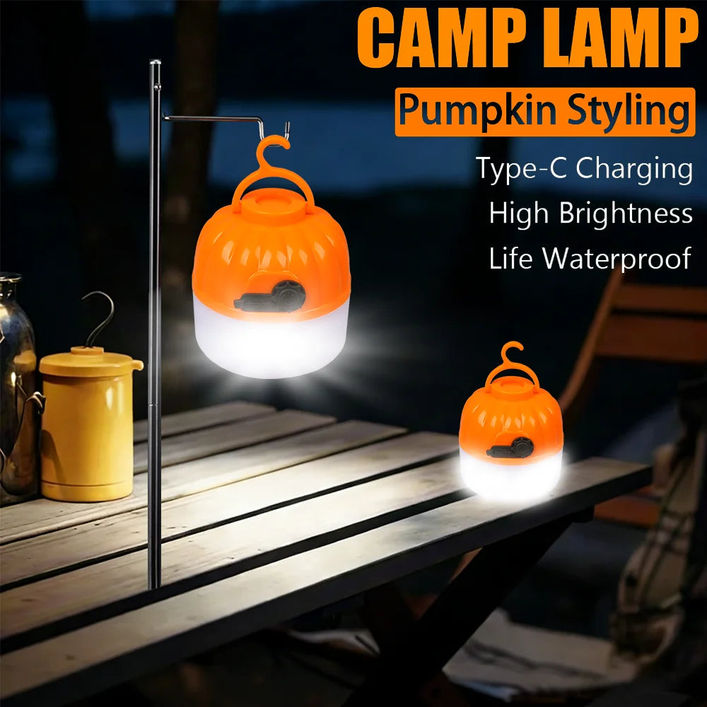 Portable rechargeable camping light